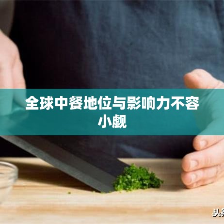 全球中餐地位与影响力不容小觑