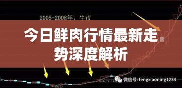 今日鲜肉行情最新走势深度解析
