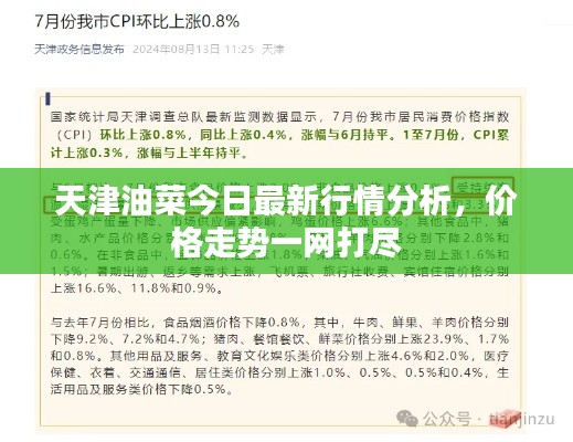 天津油菜今日最新行情分析，价格走势一网打尽