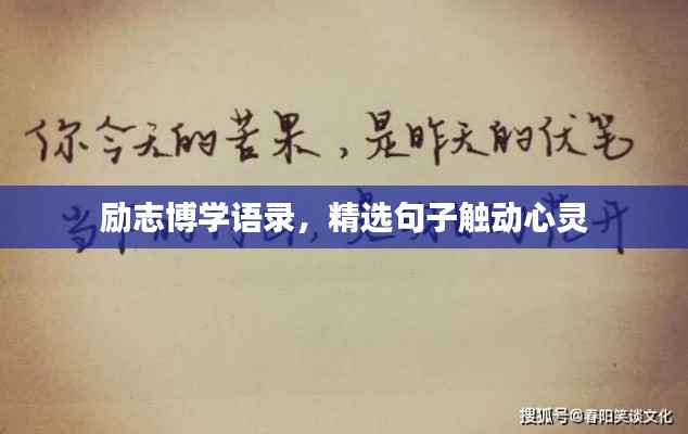 励志博学语录，精选句子触动心灵