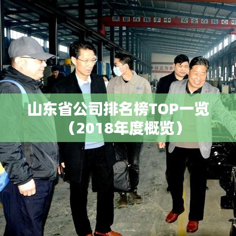 山东省公司排名榜TOP一览（2018年度概览）