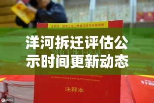 一花独放