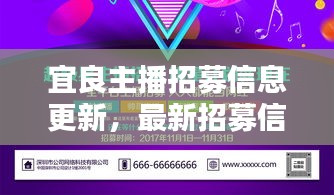 宜良主播招募信息更新，最新招募信息全解析