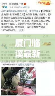 厦门临溪最新头条新闻速递