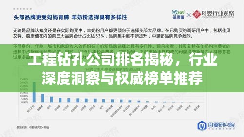 工程钻孔公司排名揭秘，行业深度洞察与权威榜单推荐