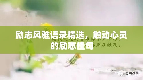 励志风雅语录精选，触动心灵的励志佳句