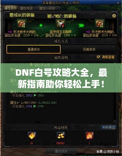 DNF白号攻略大全，最新指南助你轻松上手！
