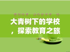 大青树下的学校，探索教育之旅，启示成长之路的PPT展示