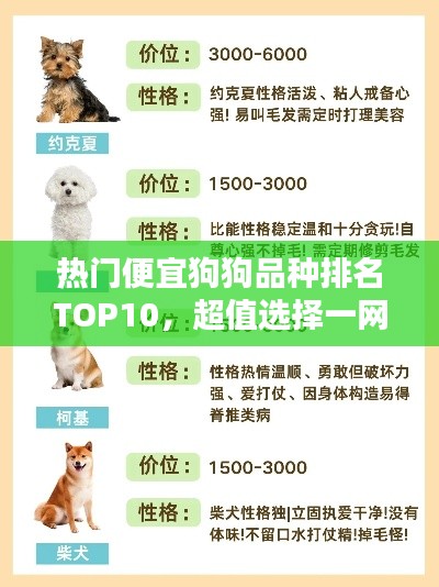 热门便宜狗狗品种排名TOP10，超值选择一网打尽！