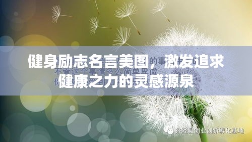健身励志名言美图，激发追求健康之力的灵感源泉