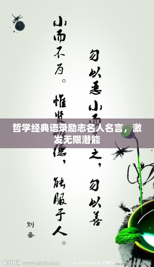 哲学经典语录励志名人名言，激发无限潜能