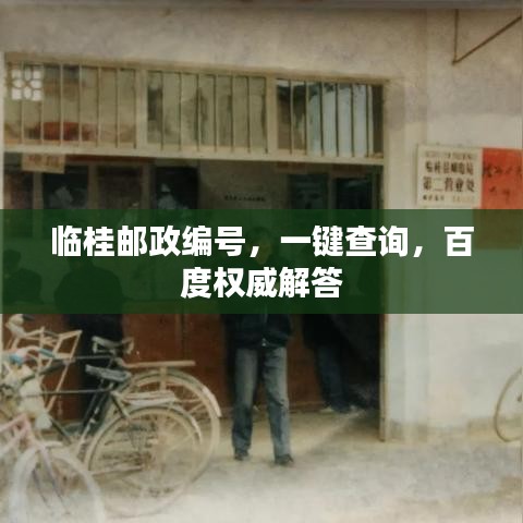 临桂邮政编号，一键查询，百度权威解答