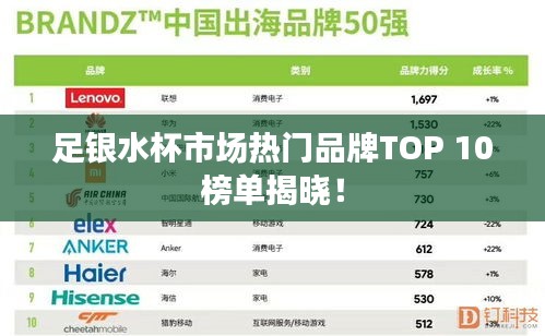 足银水杯市场热门品牌TOP 10榜单揭晓！
