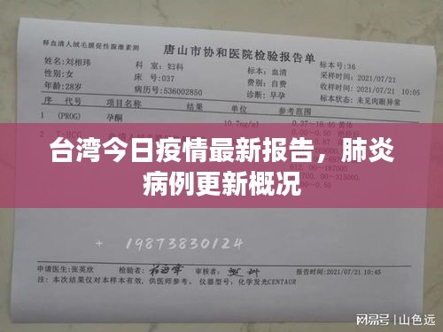 台湾今日疫情最新报告，肺炎病例更新概况