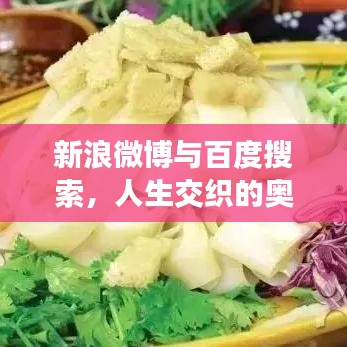 新浪微博与百度搜索，人生交织的奥秘之旅