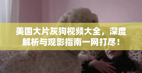 美国大片灰狗视频大全，深度解析与观影指南一网打尽！