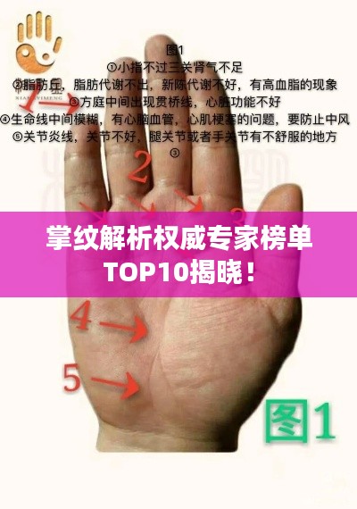 掌纹解析权威专家榜单TOP10揭晓！