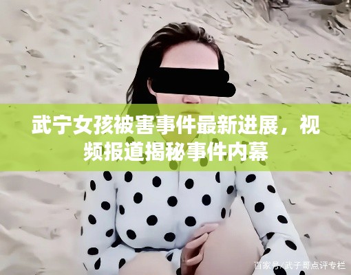武宁女孩被害事件最新进展，视频报道揭秘事件内幕
