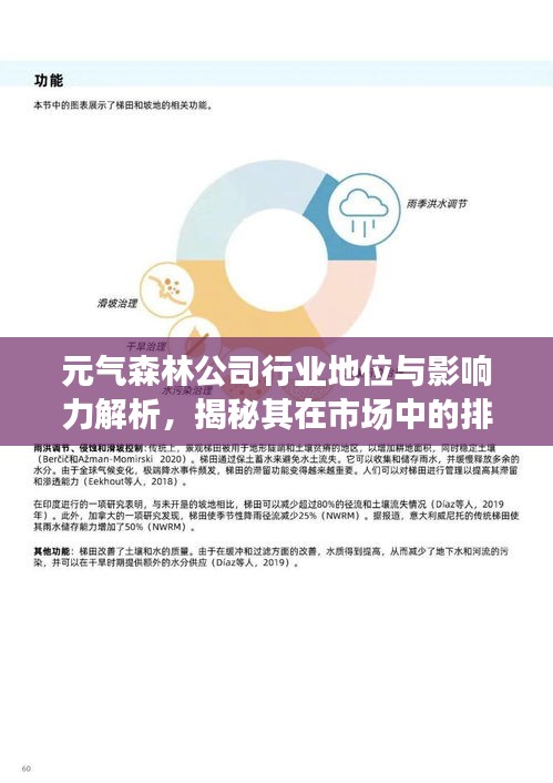 元气森林公司行业地位与影响力解析，揭秘其在市场中的排名及巨大潜力