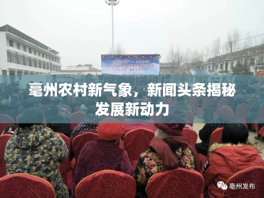 毫州农村新气象，新闻头条揭秘发展新动力
