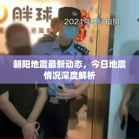 朝阳地震最新动态，今日地震情况深度解析