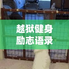 越狱健身励志语录，挑战极限，重塑自我，重塑人生辉煌！