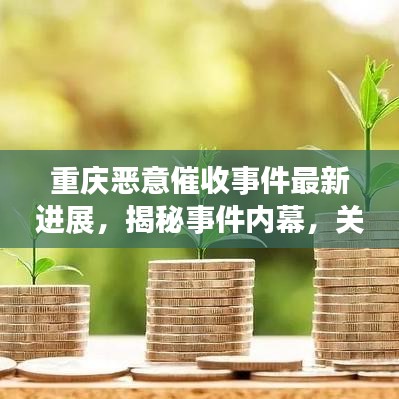 重庆恶意催收事件最新进展，揭秘事件内幕，关注最新动态！