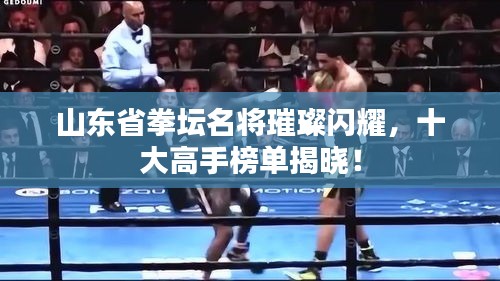 山东省拳坛名将璀璨闪耀，十大高手榜单揭晓！