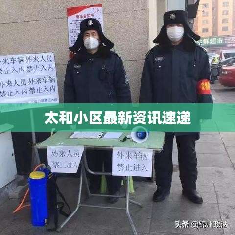 太和小区最新资讯速递