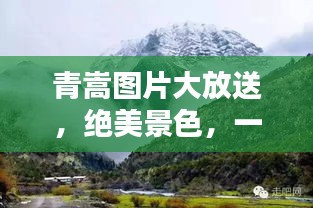 青嵩图片大放送，绝美景色，一网打尽！
