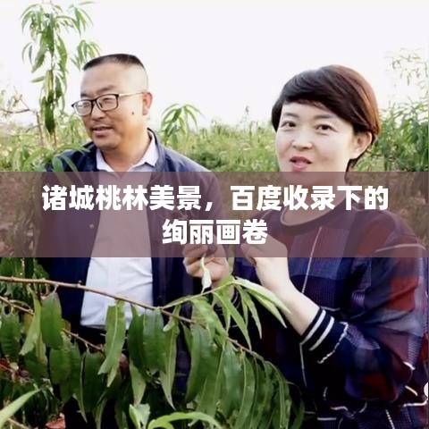 诸城桃林美景，百度收录下的绚丽画卷