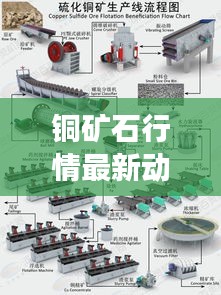 铜矿石行情最新动态解读