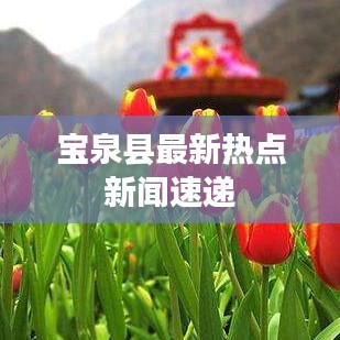 宝泉县最新热点新闻速递