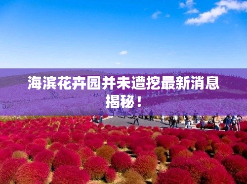 海滨花卉园并未遭挖最新消息揭秘！