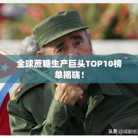 全球蔗糖生产巨头TOP10榜单揭晓！