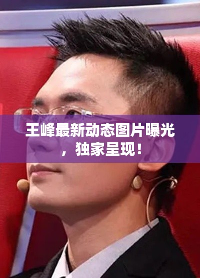 王峰最新动态图片曝光，独家呈现！