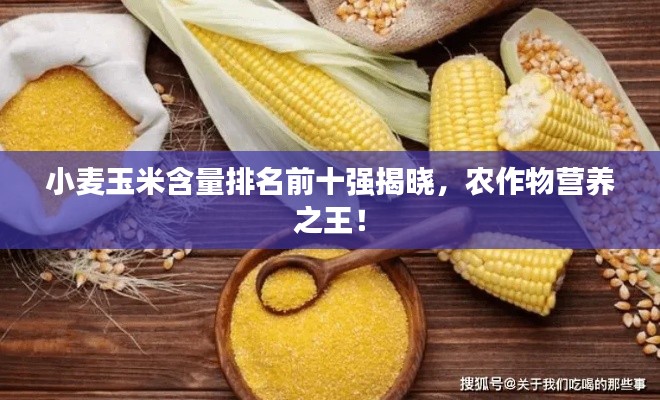 小麦玉米含量排名前十强揭晓，农作物营养之王！