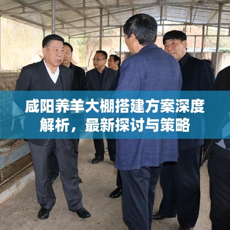 咸阳养羊大棚搭建方案深度解析，最新探讨与策略