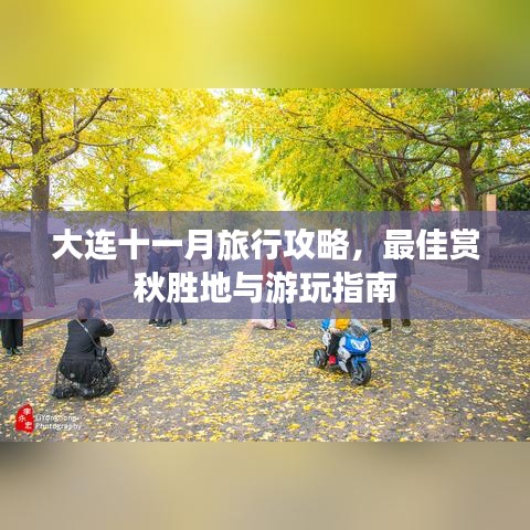 大连十一月旅行攻略，最佳赏秋胜地与游玩指南