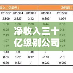 净收入三十亿级别公司排名大揭秘，行业巨头榜单分析