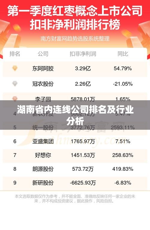 湖南省内连线公司排名及行业分析