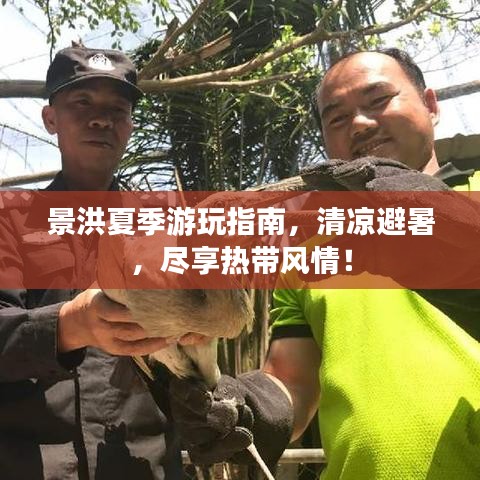 景洪夏季游玩指南，清凉避暑，尽享热带风情！