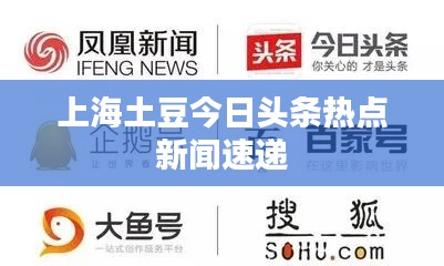 上海土豆今日头条热点新闻速递
