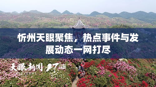 忻州天眼聚焦，热点事件与发展动态一网打尽