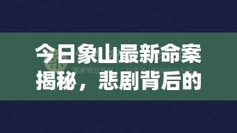 今日象山最新命案揭秘，悲剧背后的深度分析与探讨