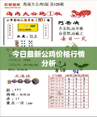今日最新公鸡价格行情分析