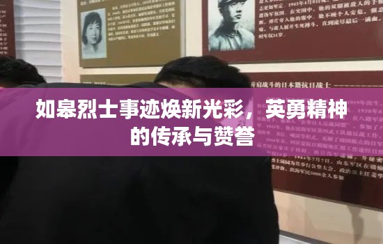 如皋烈士事迹焕新光彩，英勇精神的传承与赞誉