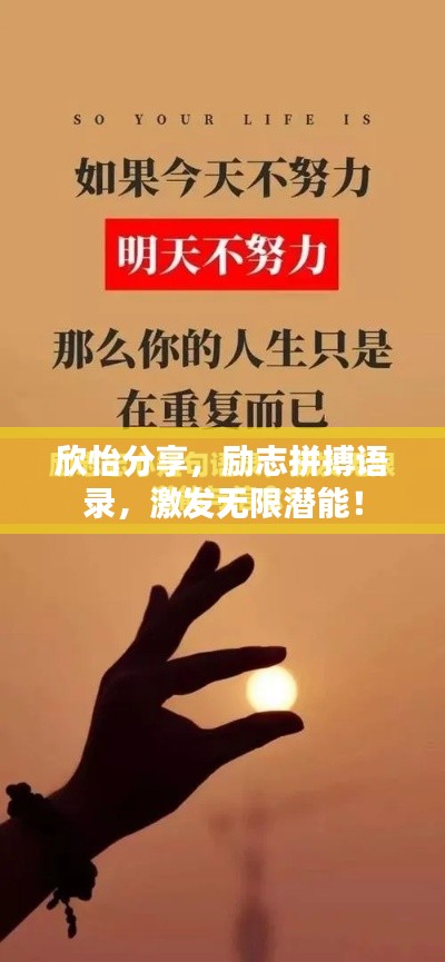 欣怡分享，励志拼搏语录，激发无限潜能！