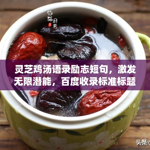 灵芝鸡汤语录励志短句，激发无限潜能，百度收录标准标题！