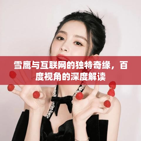雪鹰与互联网的独特奇缘，百度视角的深度解读